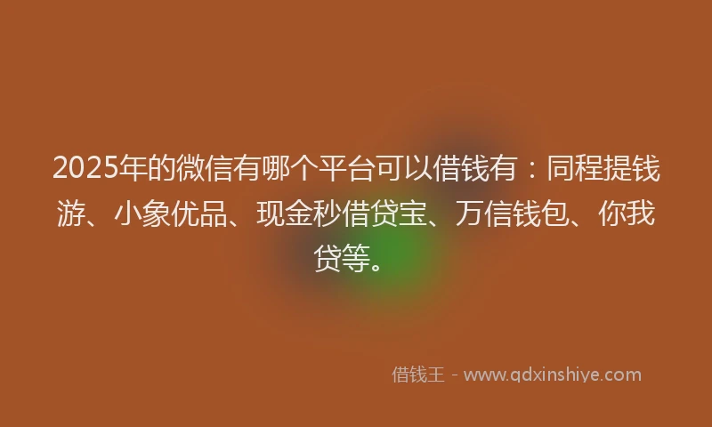 2025年的微信有哪个平台可以借钱有：同程提钱游、小象优品、现金秒借贷宝、万信钱包、你我贷等。