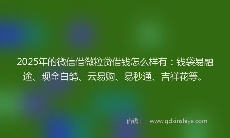 2025年的微信借微粒贷借钱怎么样有：钱袋易融途、现金白鸽、云易购、易秒通、吉祥花等。