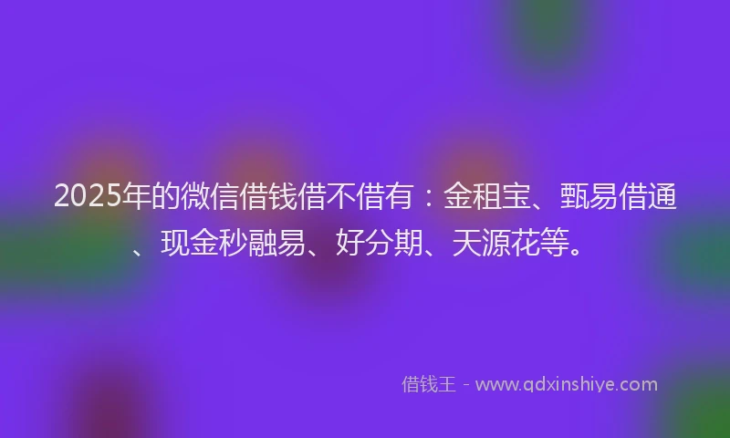 2025年的微信借钱借不借有：金租宝、甄易借通、现金秒融易、好分期、天源花等。