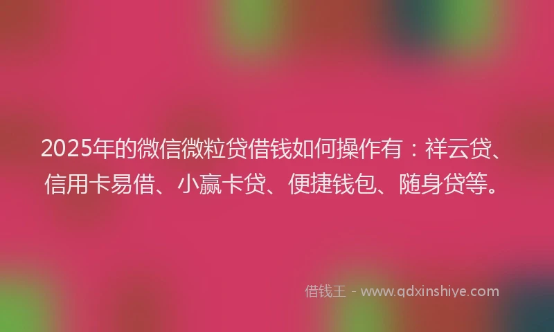 2025年的微信微粒贷借钱如何操作有：祥云贷、信用卡易借、小赢卡贷、便捷钱包、随身贷等。
