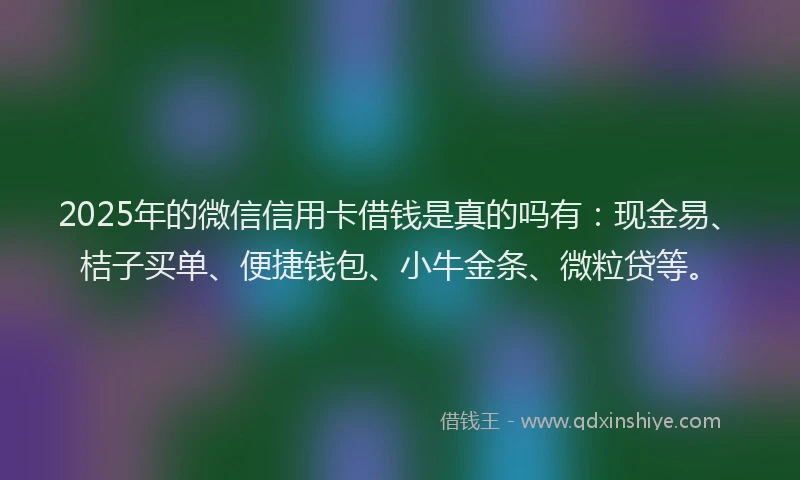 2025年的微信信用卡借钱是真的吗有：现金易、桔子买单、便捷钱包、小牛金条、微粒贷等。
