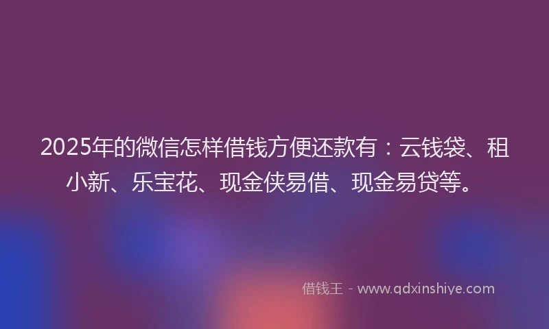 2025年的微信怎样借钱方便还款有：云钱袋、租小新、乐宝花、现金侠易借、现金易贷等。