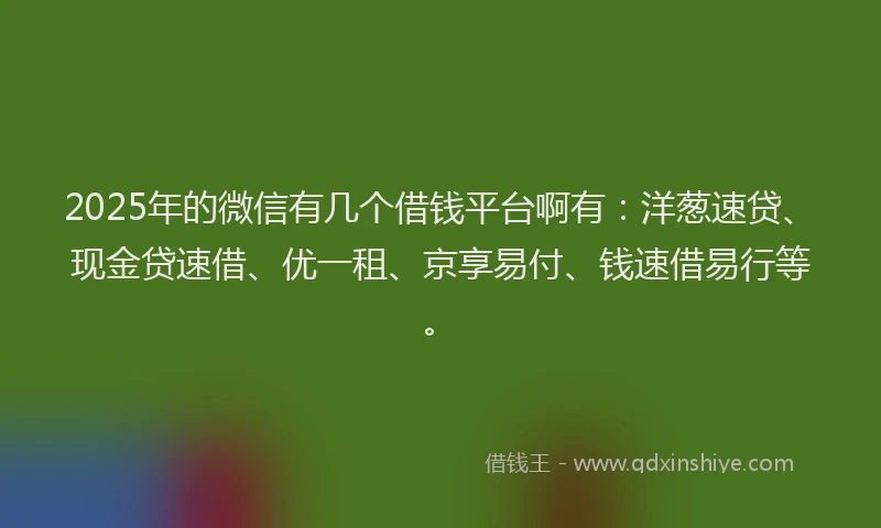 2025年的微信有几个借钱平台啊有：洋葱速贷、现金贷速借、优一租、京享易付、钱速借易行等。