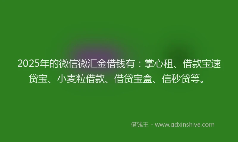 2025年的微信微汇金借钱有：掌心租、借款宝速贷宝、小麦粒借款、借贷宝盒、信秒贷等。