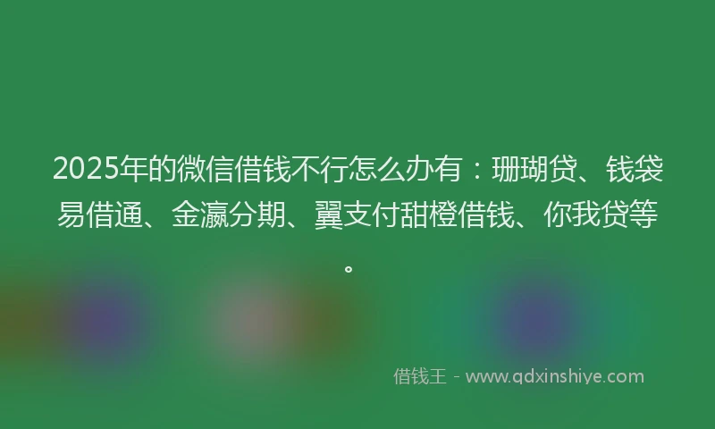 2025年的微信借钱不行怎么办有：珊瑚贷、钱袋易借通、金瀛分期、翼支付甜橙借钱、你我贷等。