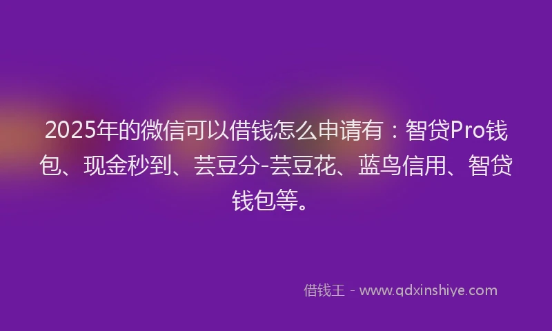 2025年的微信可以借钱怎么申请有：智贷Pro钱包、现金秒到、芸豆分-芸豆花、蓝鸟信用、智贷钱包等。