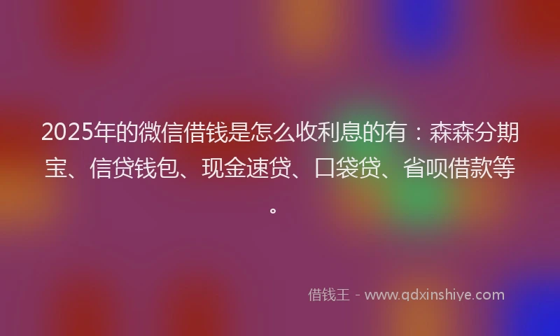 2025年的微信借钱是怎么收利息的有：森森分期宝、信贷钱包、现金速贷、口袋贷、省呗借款等。