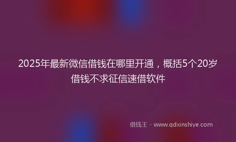 2025年最新微信借钱在哪里开通，概括5个20岁借钱不求征信速借软件