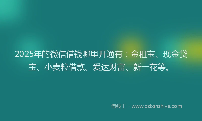 2025年的微信借钱哪里开通有：金租宝、现金贷宝、小麦粒借款、爱达财富、新一花等。