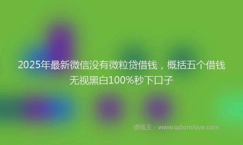 2025年最新微信没有微粒贷借钱，概括五个借钱无视黑白100%秒下口子
