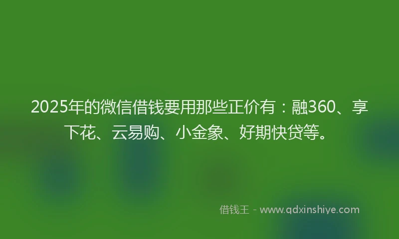 2025年的微信借钱要用那些正价有：融360、享下花、云易购、小金象、好期快贷等。