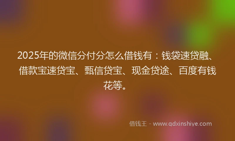 2025年的微信分付分怎么借钱有：钱袋速贷融、借款宝速贷宝、甄信贷宝、现金贷途、百度有钱花等。