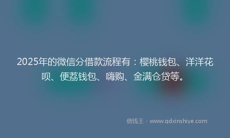 2025年的微信分借款流程有：樱桃钱包、洋洋花呗、便荔钱包、嗨购、金满仓贷等。