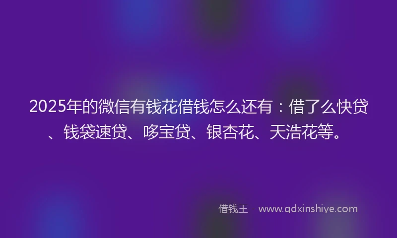 2025年的微信有钱花借钱怎么还有：借了么快贷、钱袋速贷、哆宝贷、银杏花、天浩花等。