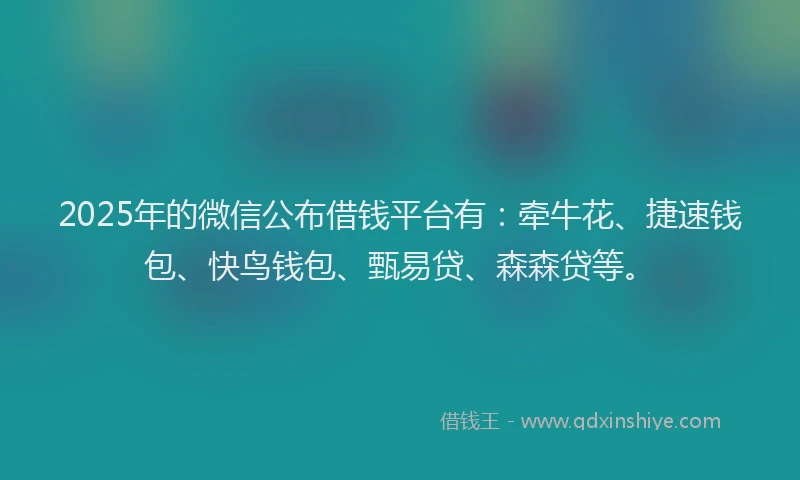2025年的微信公布借钱平台有：牵牛花、捷速钱包、快鸟钱包、甄易贷、森森贷等。