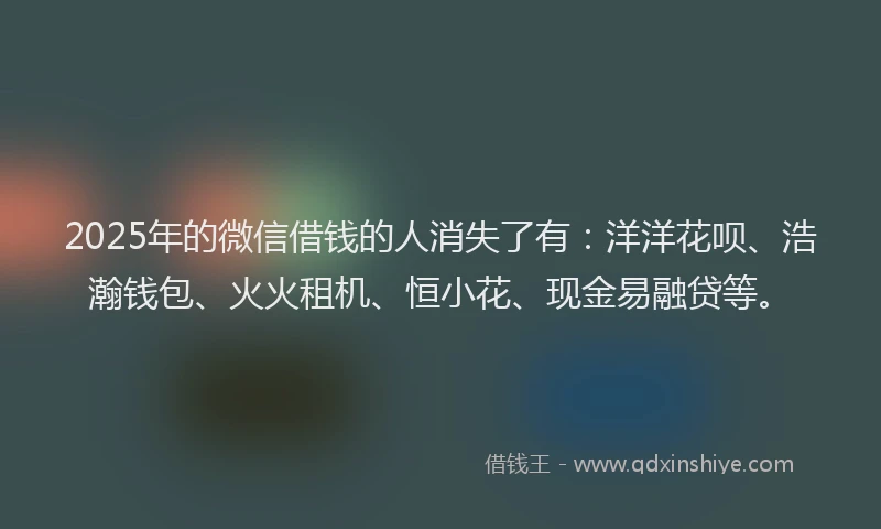 2025年的微信借钱的人消失了有：洋洋花呗、浩瀚钱包、火火租机、恒小花、现金易融贷等。