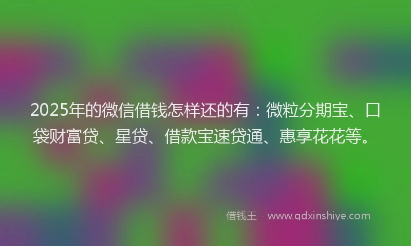 2025年的微信借钱怎样还的有：微粒分期宝、口袋财富贷、星贷、借款宝速贷通、惠享花花等。