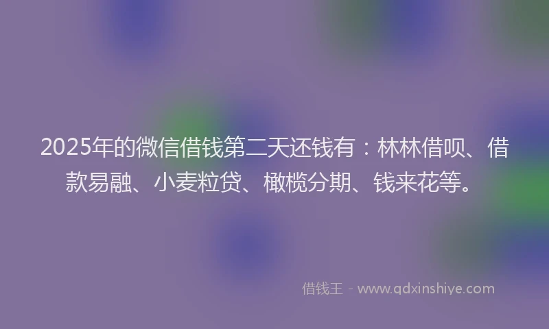 2025年的微信借钱第二天还钱有：林林借呗、借款易融、小麦粒贷、橄榄分期、钱来花等。
