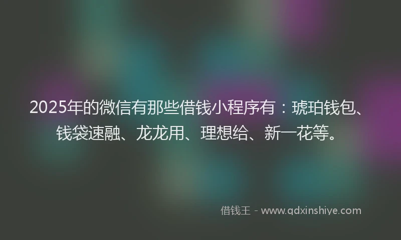 2025年的微信有那些借钱小程序有：琥珀钱包、钱袋速融、龙龙用、理想给、新一花等。