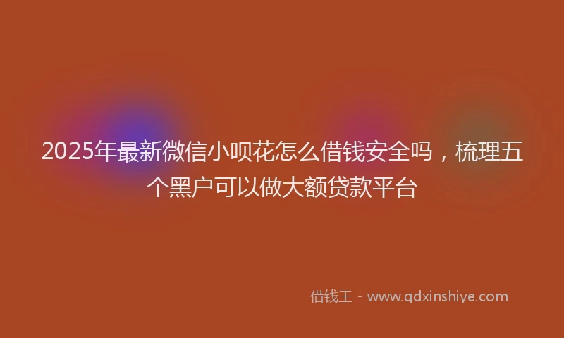 2025年最新微信小呗花怎么借钱安全吗，梳理五个黑户可以做大额贷款平台