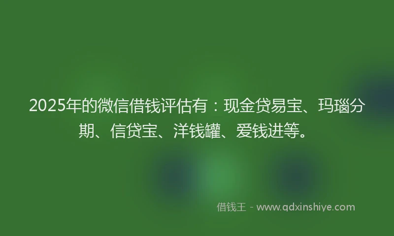 2025年的微信借钱评估有：现金贷易宝、玛瑙分期、信贷宝、洋钱罐、爱钱进等。