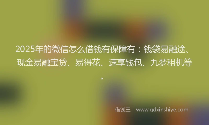 2025年的微信怎么借钱有保障有：钱袋易融途、现金易融宝贷、易得花、速享钱包、九梦租机等。