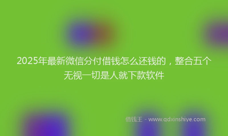 2025年最新微信分付借钱怎么还钱的，整合五个无视一切是人就下款软件