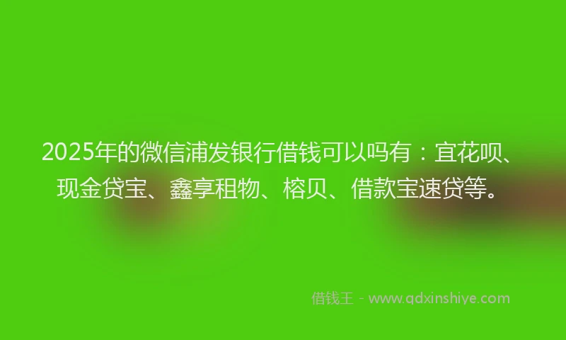 2025年的微信浦发银行借钱可以吗有：宜花呗、现金贷宝、鑫享租物、榕贝、借款宝速贷等。