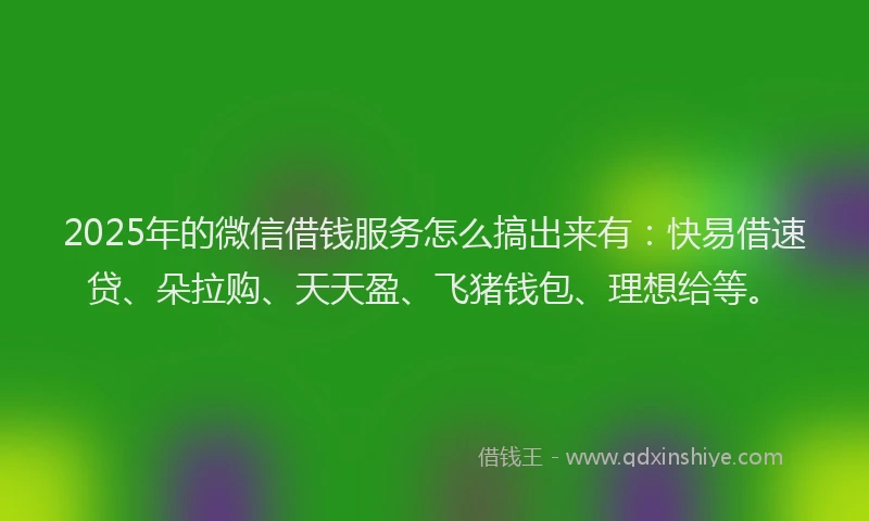 2025年的微信借钱服务怎么搞出来有：快易借速贷、朵拉购、天天盈、飞猪钱包、理想给等。