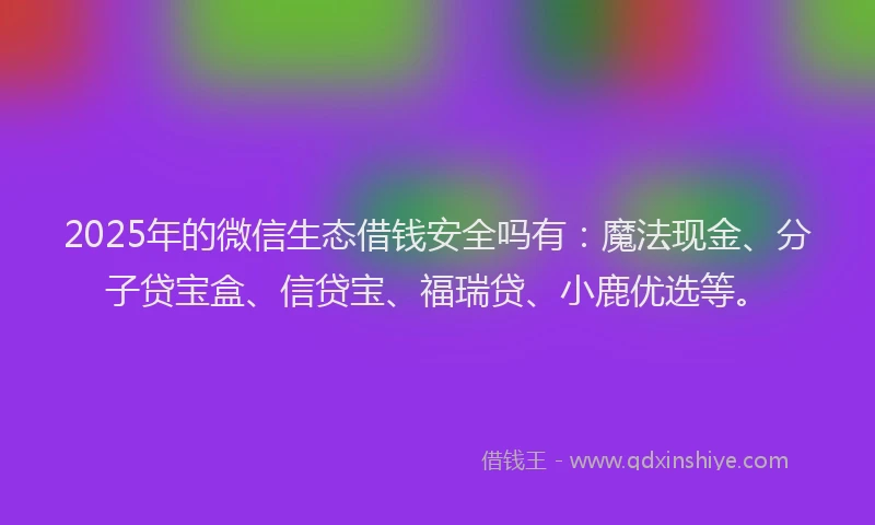 2025年的微信生态借钱安全吗有：魔法现金、分子贷宝盒、信贷宝、福瑞贷、小鹿优选等。