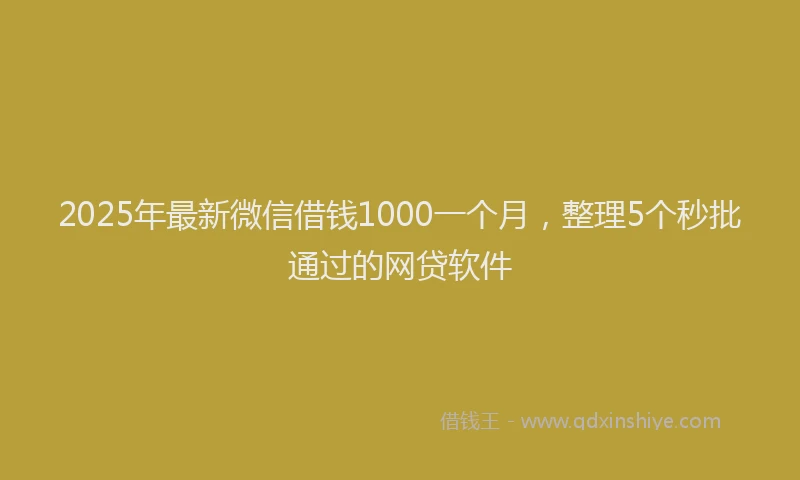 2025年最新微信借钱1000一个月，整理5个秒批通过的网贷软件