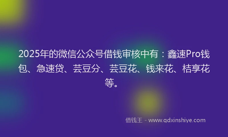 2025年的微信公众号借钱审核中有：鑫速Pro钱包、急速贷、芸豆分、芸豆花、钱来花、桔享花等。