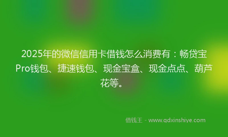 2025年的微信信用卡借钱怎么消费有：畅贷宝Pro钱包、捷速钱包、现金宝盒、现金点点、葫芦花等。
