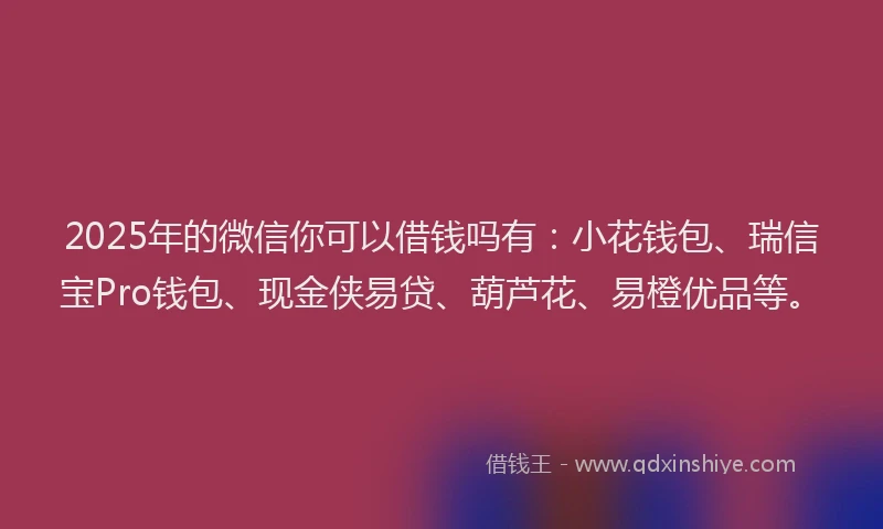 2025年的微信你可以借钱吗有：小花钱包、瑞信宝Pro钱包、现金侠易贷、葫芦花、易橙优品等。