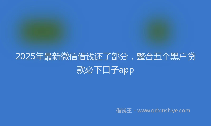 2025年最新微信借钱还了部分，整合五个黑户贷款必下口子app