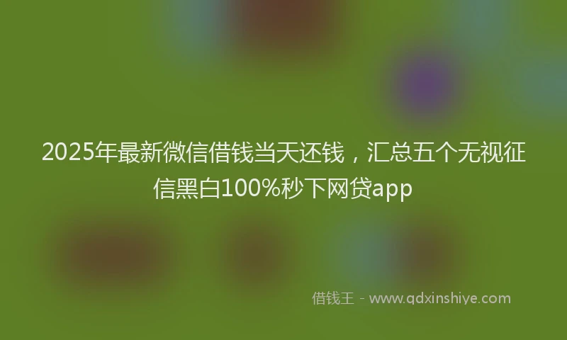2025年最新微信借钱当天还钱，汇总五个无视征信黑白100%秒下网贷app