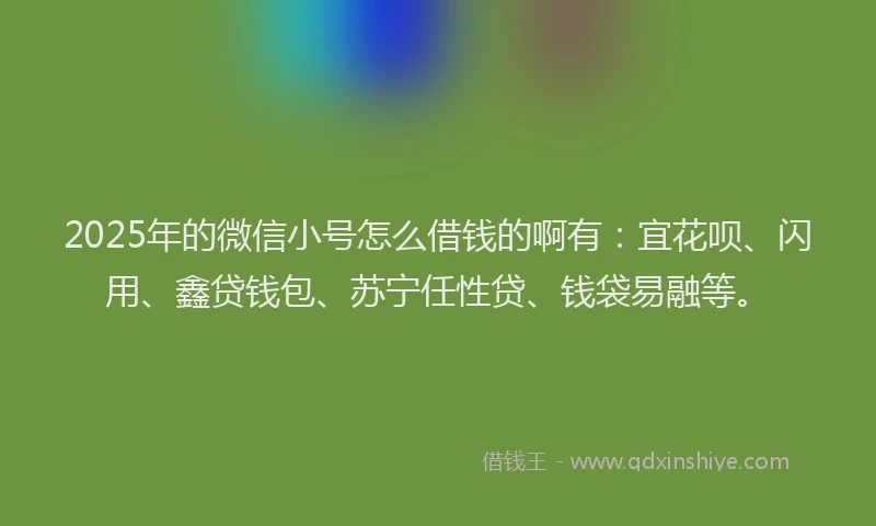 2025年的微信小号怎么借钱的啊有：宜花呗、闪用、鑫贷钱包、苏宁任性贷、钱袋易融等。