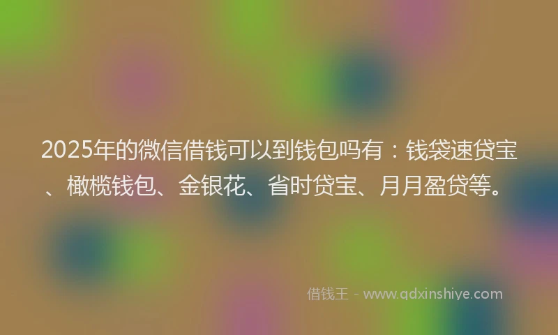 2025年的微信借钱可以到钱包吗有：钱袋速贷宝、橄榄钱包、金银花、省时贷宝、月月盈贷等。