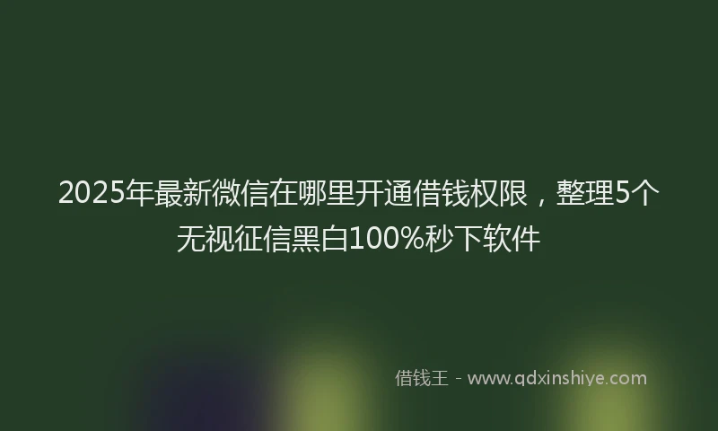 2025年最新微信在哪里开通借钱权限，整理5个无视征信黑白100%秒下软件
