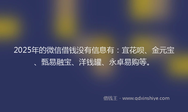2025年的微信借钱没有信息有：宜花呗、金元宝、甄易融宝、洋钱罐、永卓易购等。