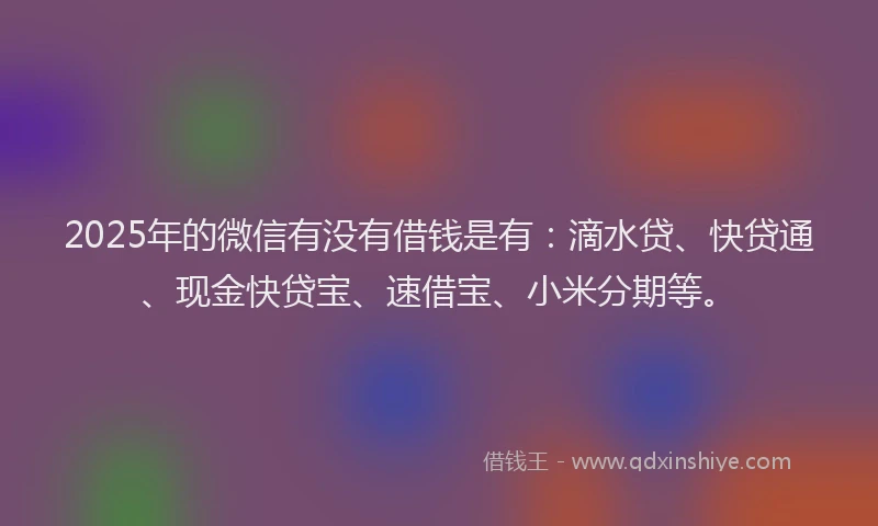 2025年的微信有没有借钱是有：滴水贷、快贷通、现金快贷宝、速借宝、小米分期等。