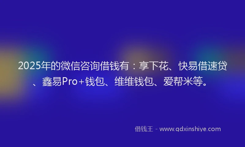 2025年的微信咨询借钱有：享下花、快易借速贷、鑫易Pro+钱包、维维钱包、爱帮米等。