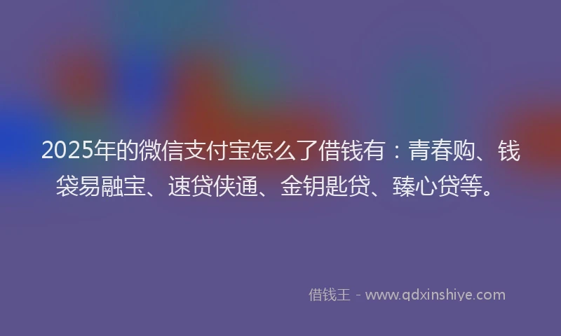 2025年的微信支付宝怎么了借钱有：青春购、钱袋易融宝、速贷侠通、金钥匙贷、臻心贷等。