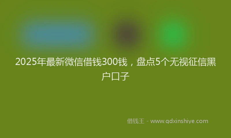 2025年最新微信借钱300钱，盘点5个无视征信黑户口子