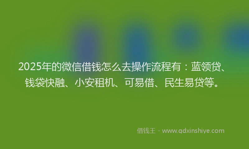 2025年的微信借钱怎么去操作流程有：蓝领贷、钱袋快融、小安租机、可易借、民生易贷等。
