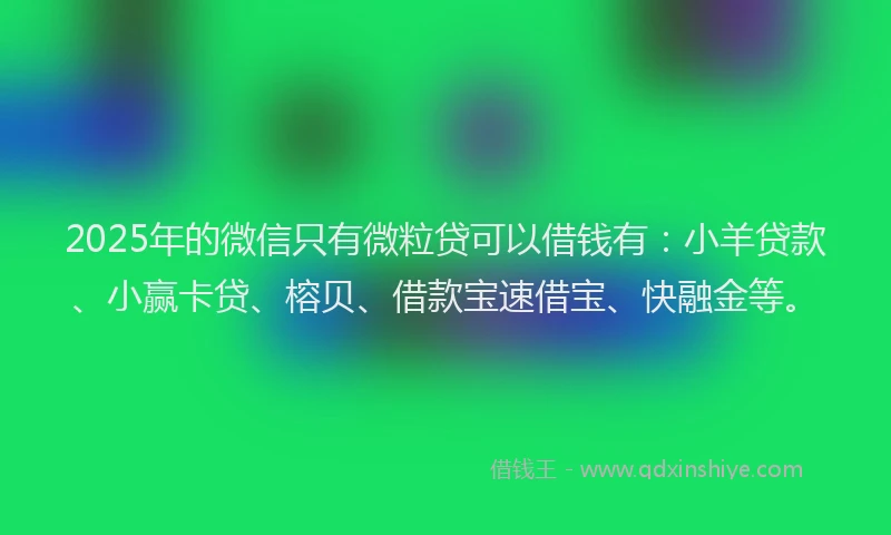 2025年的微信只有微粒贷可以借钱有：小羊贷款、小赢卡贷、榕贝、借款宝速借宝、快融金等。