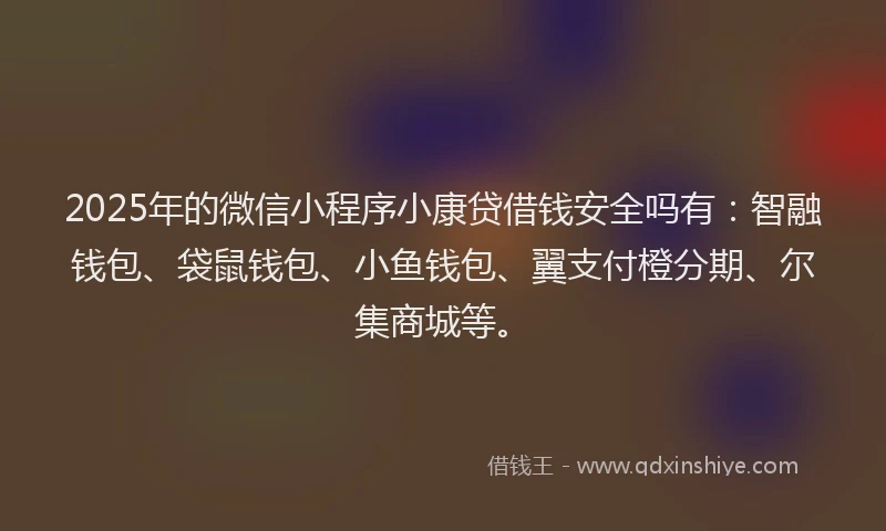2025年的微信小程序小康贷借钱安全吗有：智融钱包、袋鼠钱包、小鱼钱包、翼支付橙分期、尔集商城等。