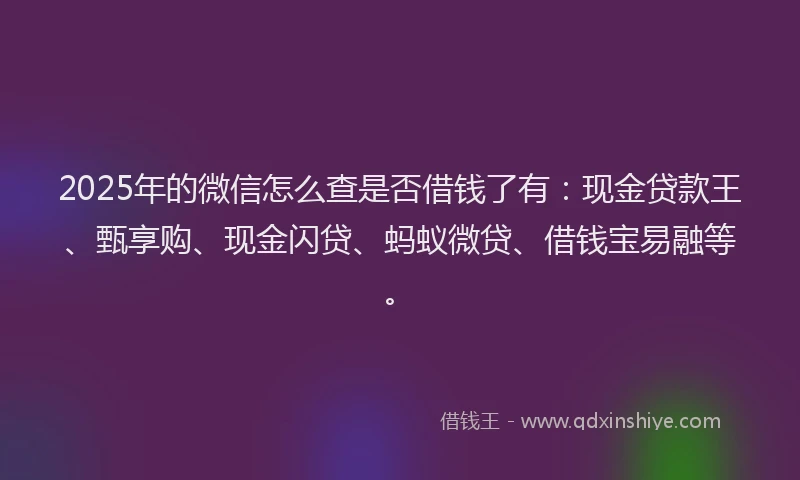 2025年的微信怎么查是否借钱了有：现金贷款王、甄享购、现金闪贷、蚂蚁微贷、借钱宝易融等。