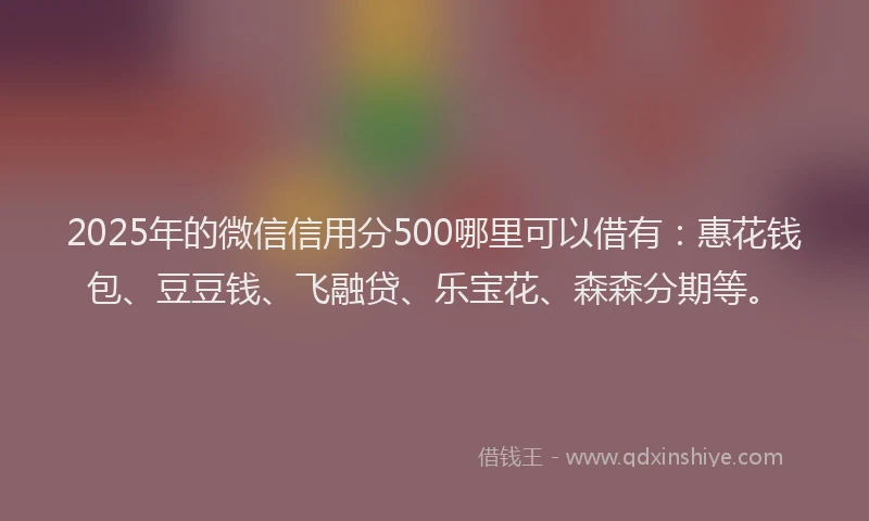 2025年的微信信用分500哪里可以借有：惠花钱包、豆豆钱、飞融贷、乐宝花、森森分期等。