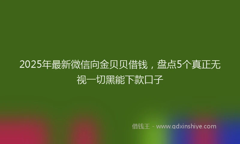 2025年最新微信向金贝贝借钱，盘点5个真正无视一切黑能下款口子
